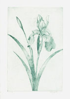 Original art on paper.